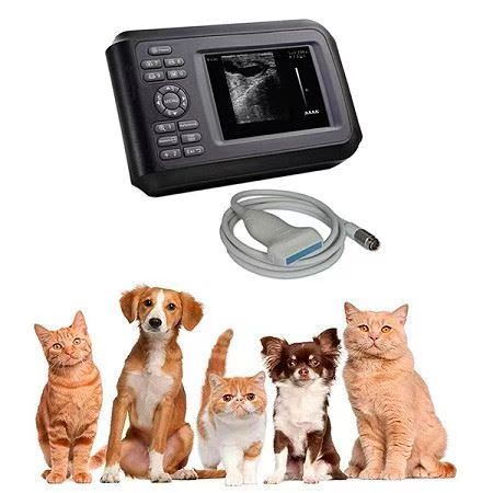 Handheld veterinary ultrasound Handheld veterinary ultrasound