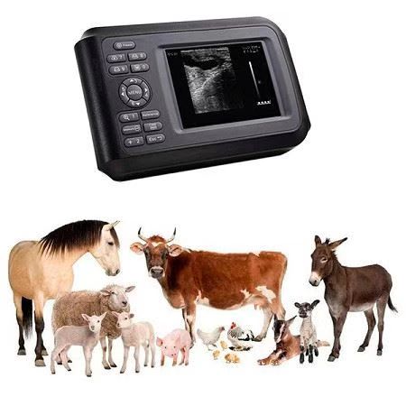 Handheld veterinary ultrasound Handheld veterinary ultrasound