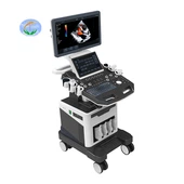 Harga Ultrasound Doppler Warna
